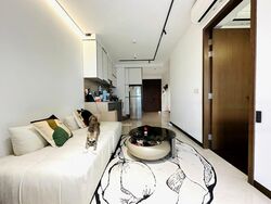 Normanton Park (D5), Apartment #458648931